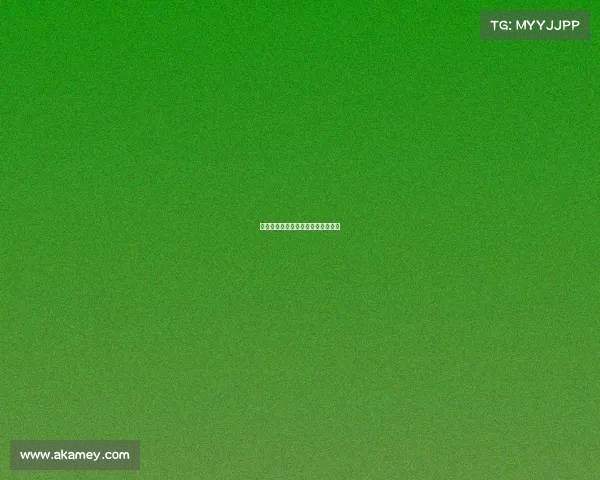 电子竞技大赛动画—电子竞技动画片